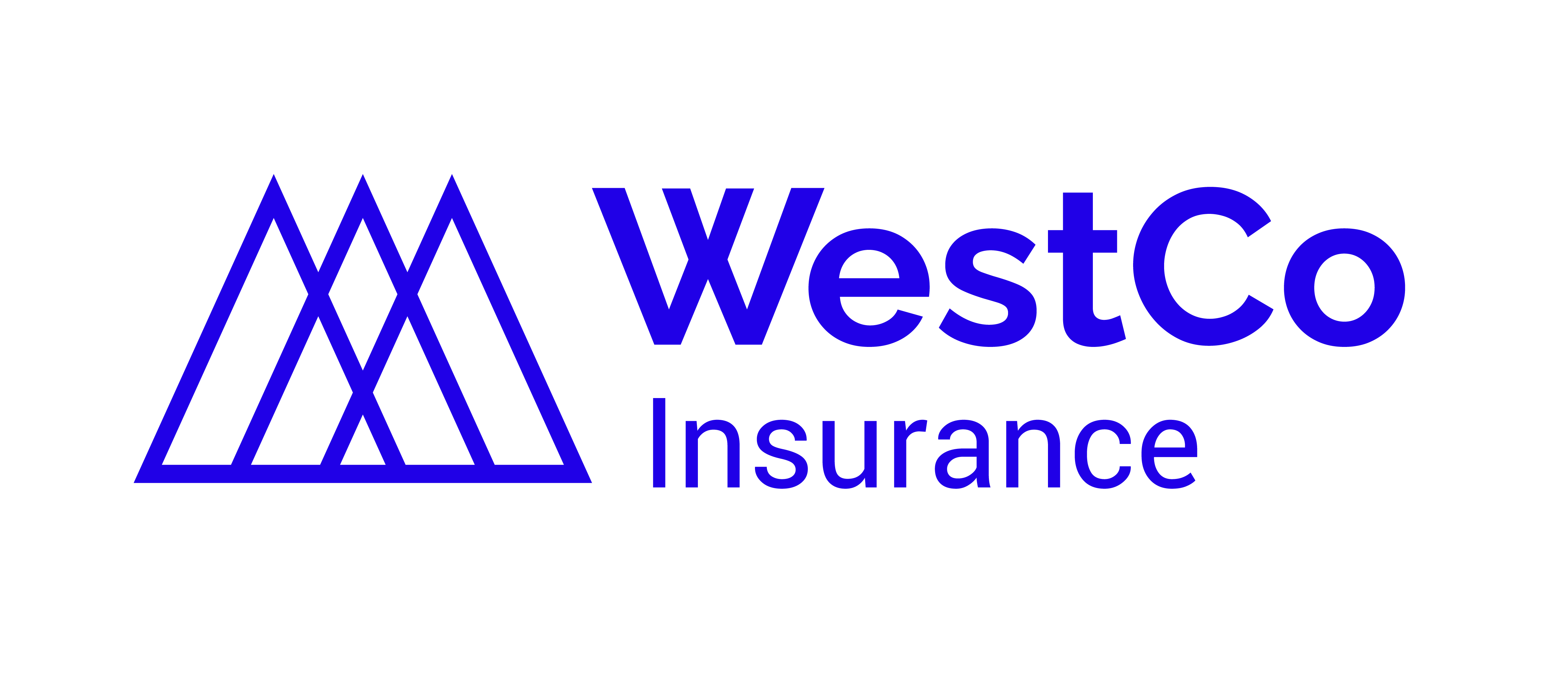 Blue+Letters-+insurance